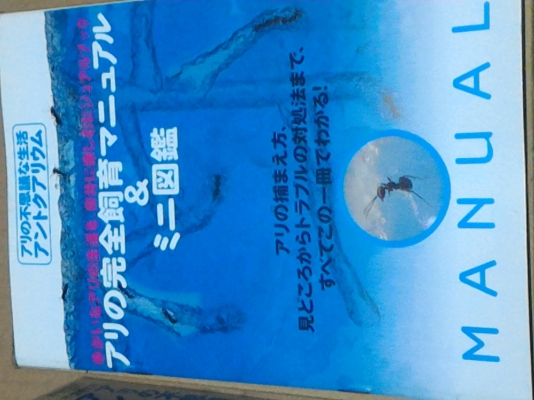 ชุดศึกษาการทำรังของมด มองเห็นการทำงานของมดในแบบต่างในโพง ขนาดเล็ก