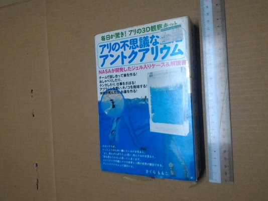 ชุดศึกษาการทำรังของมด มองเห็นการทำงานของมดในแบบต่างในโพง ขนาดเล็ก