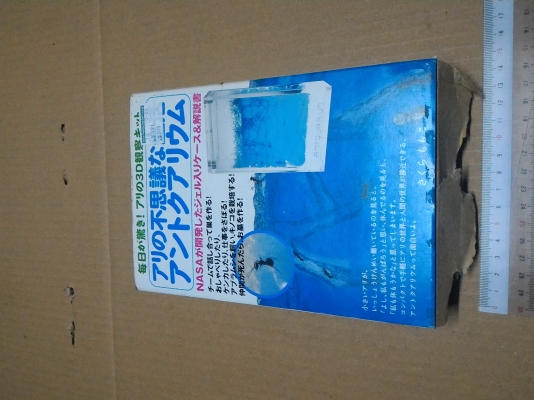 ชุดศึกษาการทำรังของมด มองเห็นการทำงานของมดในแบบต่างในโพง ขนาดเล็ก