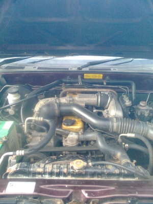 ขายด่วนISUZU  ดรากอน แค็ป ปี1998