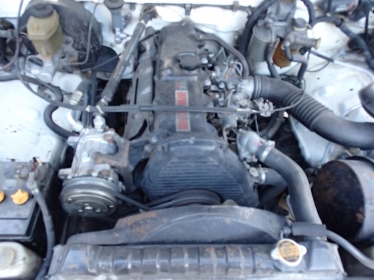 ไมตี้เอ็กตอนเดียวปี 39 เครื่องดี 2Lไม่มีชนอาบน้ำใหม่แอร์เย็นไลย์เนอร์แคชซีงาม ไมตี้เอ็กตอนเดียวปี 39 เครื่องดี 2Lไม่มีชนอาบน้ำใหม่แอร์เย็นไลย์เนอร์แคชซีงาม