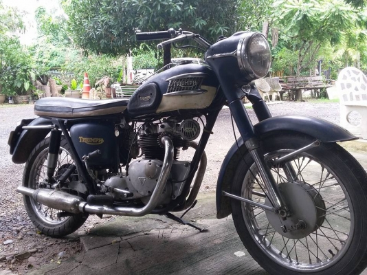 ขาย triumph รถเดิม ในไทย พร้อมใช ทะเบียนเคยมี