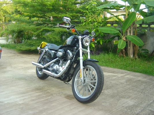 Harley Davidson Sportster Custom Performance 1 Greenbook Harley Davidson Sportster Custom Performance 1 Greenbook