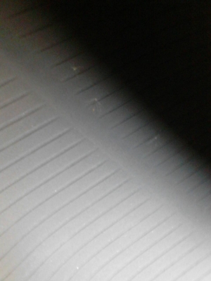 255/65R17 BRIDGESTONE ชุด 4 เส้น tel.081-427-3941