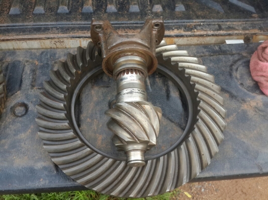 เฟืองจาน เดือยหมู ร็อคกี้ 7-39