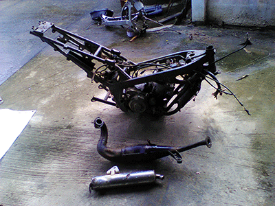 อะหลั่ยวิคเตอร์