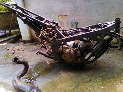 อะหลั่ยวิคเตอร์