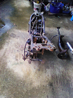 อะหลั่ยวิคเตอร์