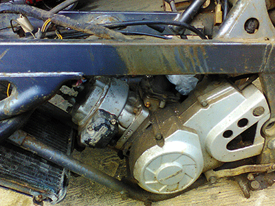 อะหลั่ยวิคเตอร์