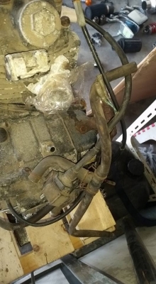 เครื่อง HONDA TLR 200 cc