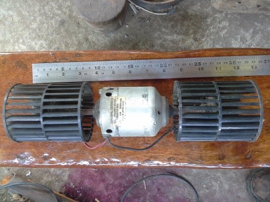 พัดลมกระรอก