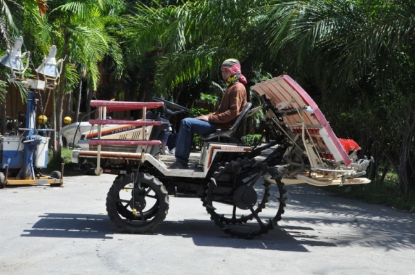 ขายรถดำนาราคาถูก yanmar (5แถว) สภาพสวยเดิมจากญี่ปุ่นยังไม่เคยใช้ในไทย 39,000เท่านั้น