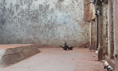 **ขายแล้วครับขอบคุณ ลูกค้า และ ขอบคุณ Truck2hand