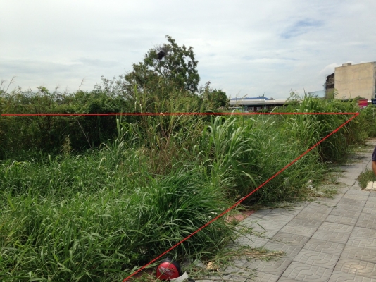 Sold separately Bangkuwat Road 307