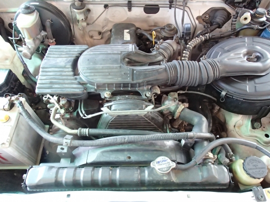 TIGER ตอนเดียวเครื่องดี2Lแอร์ฉ่ำ พ.พาวเวอร์ยางดีปี45 สวยพรัอมใชัพร้อมโอน  ( มีราคาตัดพ่อค้าไหัโทคุยไดัครับ )