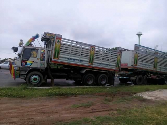 ขายพ่วง3Mแม่ลูก ขายพ่วง3Mแม่ลูก