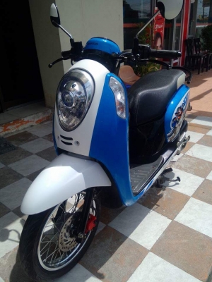 รุ่นใหม่ล่าสุด New Scoopy i ปี 2556 ลาย ACTIVE BOY สีน้ำเงิน ขาว รถสวยวิ๊งฝุดๆ ได้ไปไม่ผิดหวัง รุ่นใหม่ล่าสุด New Scoopy i ปี 2556 ลาย ACTIVE BOY สีน้ำเงิน ขาว รถสวยวิ๊งฝุดๆ ได้ไปไม่ผิดหวัง