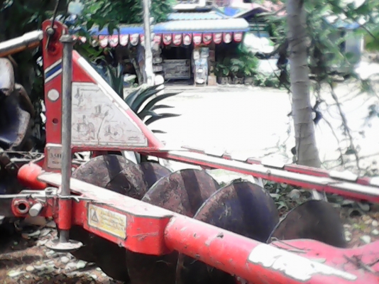 ขายด่วน จาน6*22 CMT สภาพดี ใบเต็ม แน่นๆ