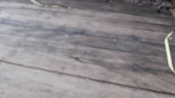 **385,000 บ. ต่อรอง/// 6ล้อ NPR-115 รถห้างแท้ ช่วงล่างใหญ่ **ขาย ISUZU NPR-115 6ล้อบรรทุก ยอดนิยม สภาพสวย ช่วงล่างใหญ่ ขาลุย ISUZU NPR (JAANPR59LK) 4BD1-115แรง รุ่น กรองดำ เกียร์ยาว ปี34-35 เครื่องเดิม เกียร์เดิม แปลงเกียร์สั้น(เกียร์สาย) แล้วครับ เครื่อง