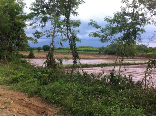 ขายที่ดินจำนวน 8 ไร่ อ.ชนบท ต.พระพุทธบาท จ.เพชรบูรณ์ ไร่ละ 127000 บาท โทร 0628920876