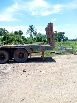 ขายรถสิบล้อเทลเลอร์บรรทุกรถเกี่ยวข้าวสวยๆๆ ขายรถสิบล้อเทลเลอร์บรรทุกรถเกี่ยวข้าวสวยๆๆ