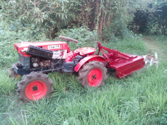 ขายเครื่องตัดหญ้า,ตีตออ้อยหรือสับปะรด ติดหลังรถไถ