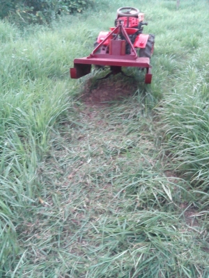 ขายเครื่องตัดหญ้า,ตีตออ้อยหรือสับปะรด ติดหลังรถไถ
