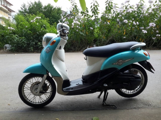 ฟีโน่เดิมๆ ฟีโน่เดิมๆ