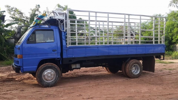 ขาย6ล้อ 115อีซูซุ NPR115Fหน้า หลังยาว5เมตร แชชซีสวย พ.เพาเวอร์ เอกสารเล่มทะเบียน พร้อมโอน แชชซีสวย ภายในครบ สภาพพร้อมวิ่งงาน พื้นเหล็ก ขาย6ล้อ 115อีซูซุ NPR115Fหน้า หลังยาว5เมตร แชชซีสวย พ.เพาเวอร์ เอกสารเล่มทะเบียน พร้อมโอน แชชซีสวย ภายในครบ สภาพพร้อมวิ่งงาน พื้นเหล็ก