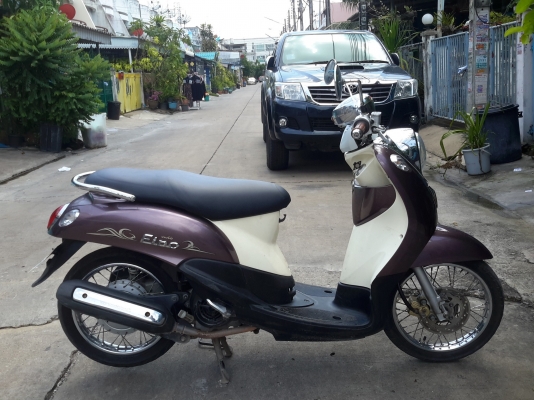 ขายฟีโน่เครื่องแน่นเดิมๆปี52