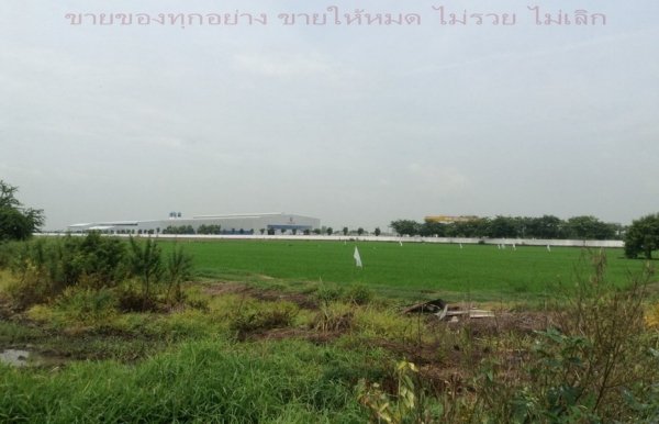 @@    64ไร่1งาน(ข้าง โรงงาน แสนสิริ) สร้างโรงงานได้