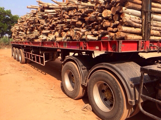 ขายด่วน  รถสิบล้อหัวลาก พร้อมหางพื้นเรียบสามเพลาพนัส  พร้อมใช้งาน  เอกสารพร้อม