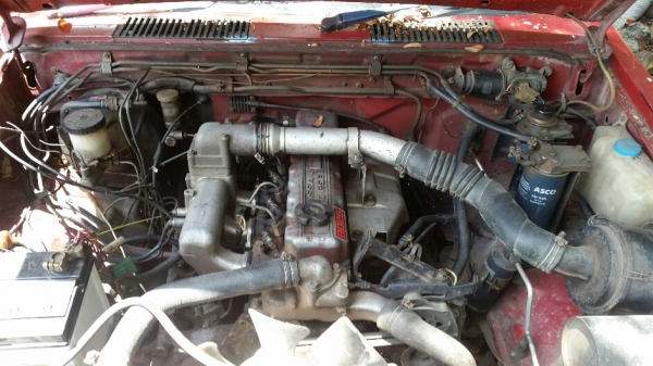 big M หัวเดียวเครื่องฝาแดง ขับได้เครื่องดีคัสซีสวย ขาย 48,000 บาท