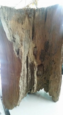 ขาย งานศิลปะแกะสลัก