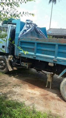 6 ล้อดั้ม NPR120 แรง ฝาดำ สภาพดี พร้อมใช้