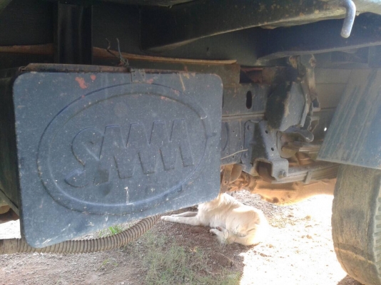 6 ล้อดั้ม NPR120 แรง ฝาดำ สภาพดี พร้อมใช้