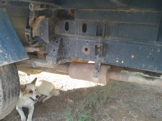 6 ล้อดั้ม NPR120 แรง ฝาดำ สภาพดี พร้อมใช้