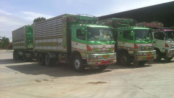 ขายรถบรรทุก 22 ล้อพ่วงแม่ลูกดัมพ์มิเนียมคอกเกษตร HINO MEGA 344 แรงม้าปี 2554 ลูกพ่วงอู่ ซีทีทรัค 3 เพลา ราคา 2650000