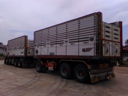 ขาย360ปี56