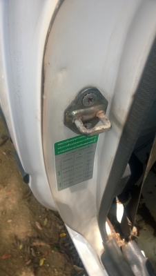 ไมตี้xหัวเดียวครับ ไมตี้xหัวเดียวครับ