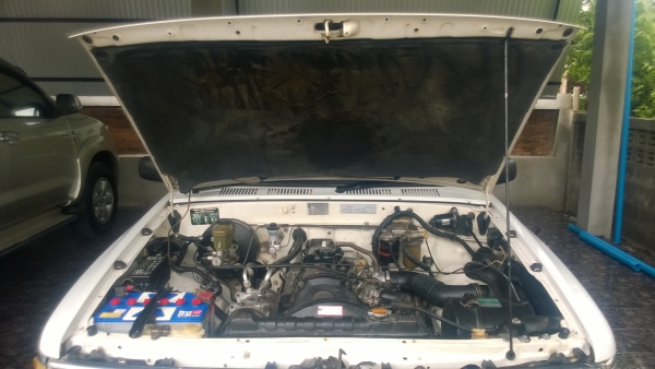 ไมตี้xหัวเดียวครับ ไมตี้xหัวเดียวครับ