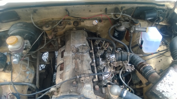 ม้ากระโดดๆๆครับ ม้ากระโดดๆๆครับ