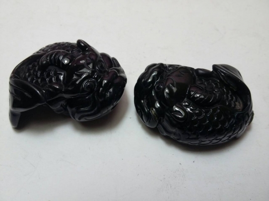 ปลามังกรเนื้อนิลดำ ปลามังกรเนื้อนิลดำ