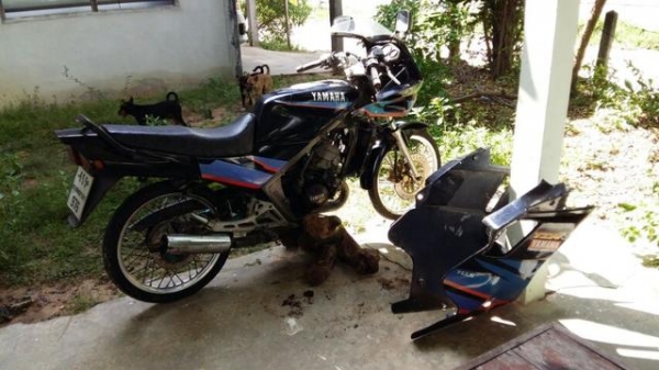 ขาย yamaha tzr 150 ขาย yamaha tzr 150