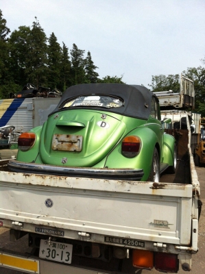 เต่าเปิดประทุน เต่าเปิดประทุน