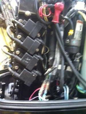 ขายเรือ bayliner capri 1800 เครื่อง mercury 125