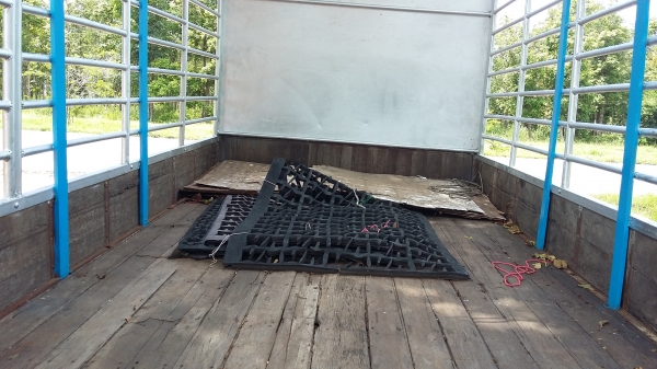 ขาย 150 NQR ปี51 ยาว 5.5 เมตร สภาพสวยกริ๊ป