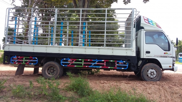 ขาย 150 NQR ปี51 ยาว 5.5 เมตร สภาพสวยกริ๊ป