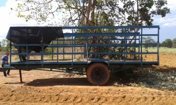 ขายพ่วงลากอ้อย