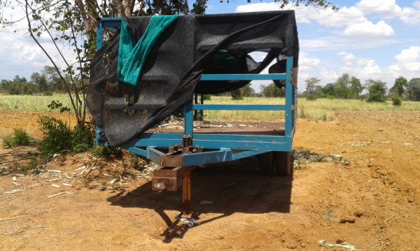 ขายพ่วงลากอ้อย